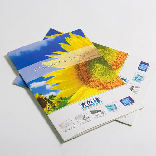 Catalogue nghành hàng