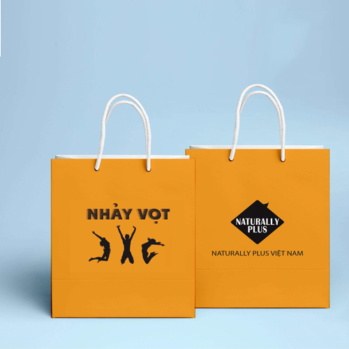 Túi giấy NV
